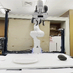 Visually-grounded behavior library
